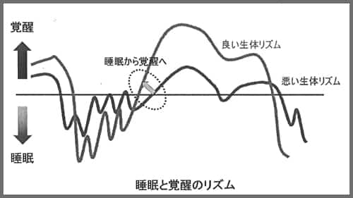 睡眠と覚醒のリズム