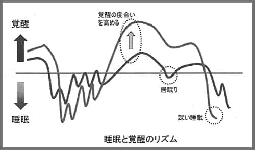 睡眠と覚醒のリズム2